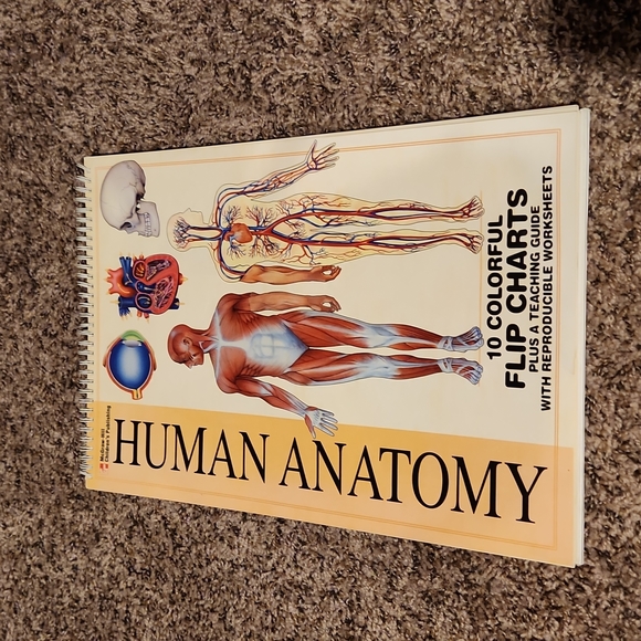 Children's learning games and anatomy book - Picture 5 of 5
